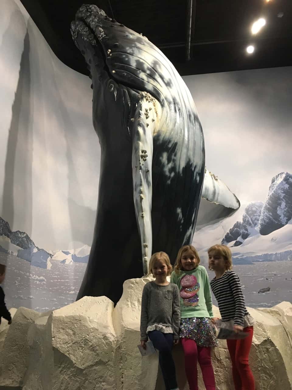 Our trip to the Newport Aquarium almost tricked us into believing we were on vacation. It was a surprisingly good time!