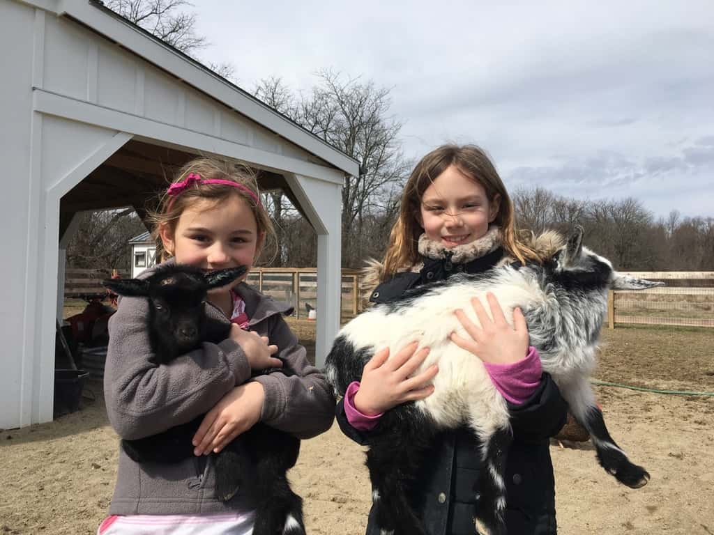 These girls loved visiting with the baby goats today at the Speed’s farm.