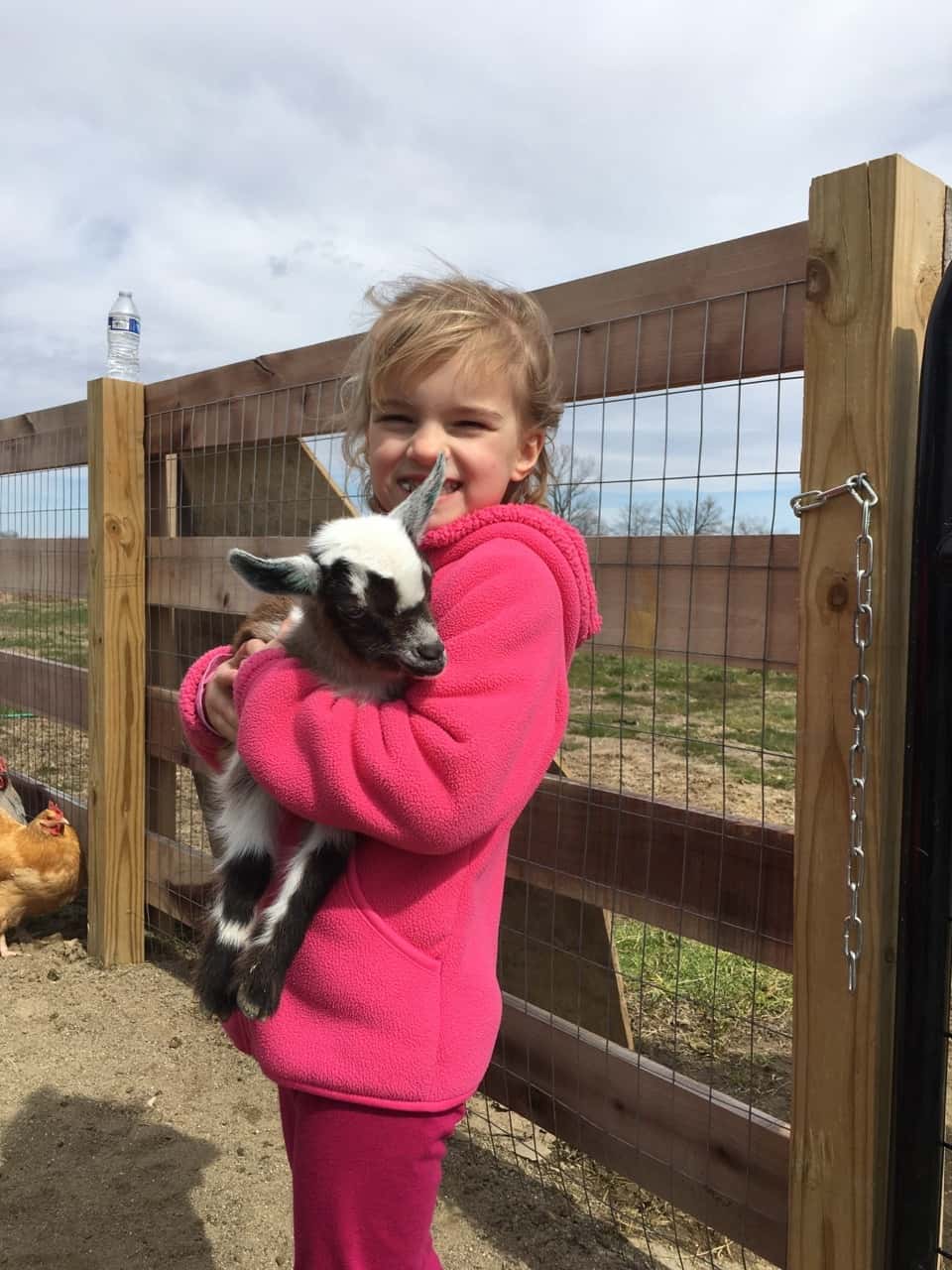 These girls loved visiting with the baby goats today at the Speed’s farm.