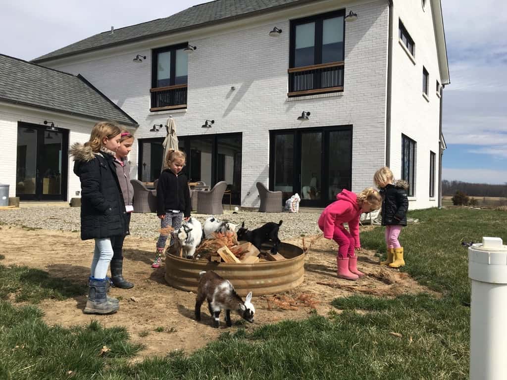 These girls loved visiting with the baby goats today at the Speed’s farm.