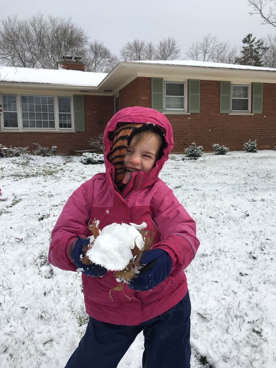 While I hoped it was the last hurrah of winter, Gwen and Josie were thrilled with our unexpected snow squall.