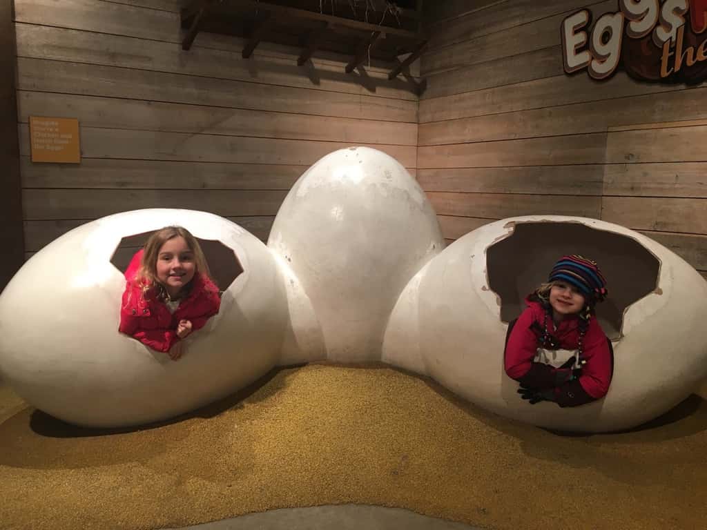 We had to drive through a snowstorm, but we found nicer weather (and Auntie Clara) in Chicago! We visited the Lincoln Park Zoo, enjoyed a Shake Shack burger, and had a fun time swimming. Not bad for day one!