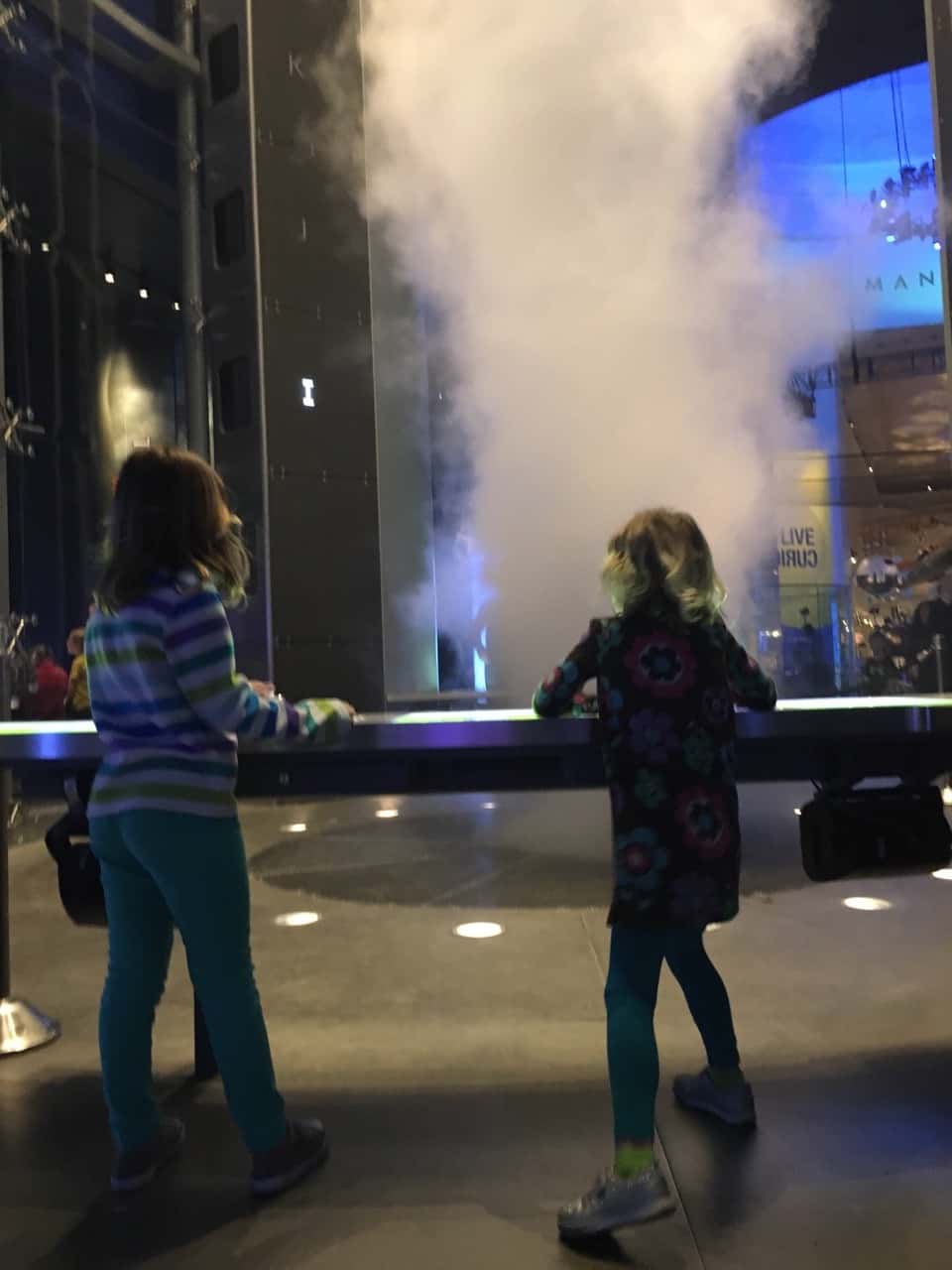 We expected to like it, but the Chicago Museum of Science and Industry did not live up to the hype.