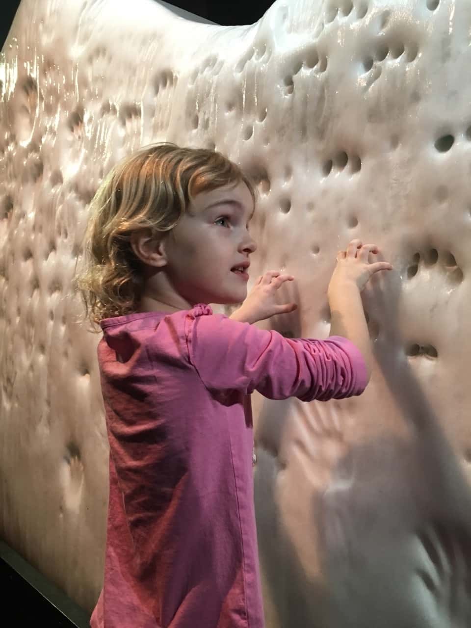 We expected to like it, but the Chicago Museum of Science and Industry did not live up to the hype.