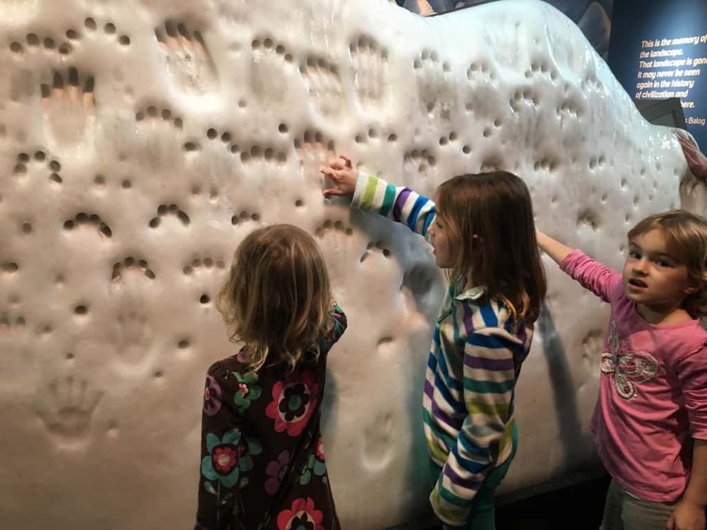 We expected to like it, but the Chicago Museum of Science and Industry did not live up to the hype.