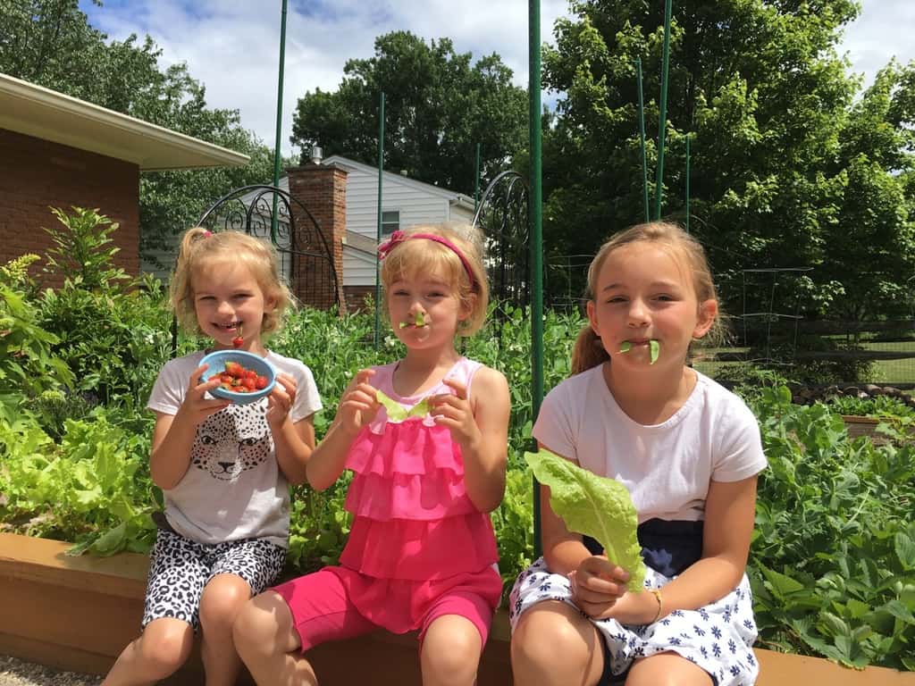 Strawberries, snap peas, and lettuce!