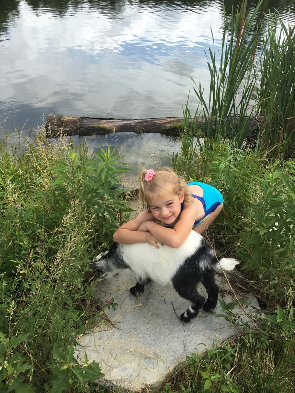 The girls swam in water other than a swimming pool for the first time today at Stella and Ruby’s house, and they loved it! Gwen was unsure of the muddy bottom, but she did finally jump in with everyone else. Josie freaked out when the dogs or goats got too close, but didn’t blink an eye at swimming with frogs and turtles. Abby is part farm girl. She loved everything!