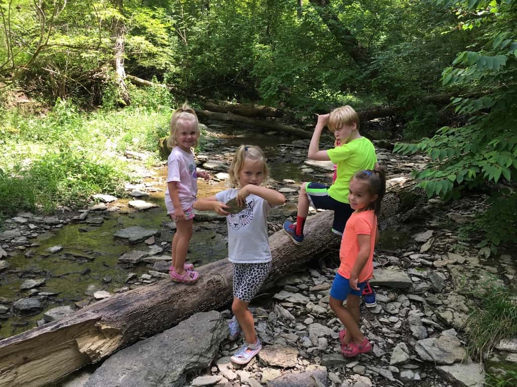 Gwen declared that our hike at French Park today was her “most favorite playgroup ever!”