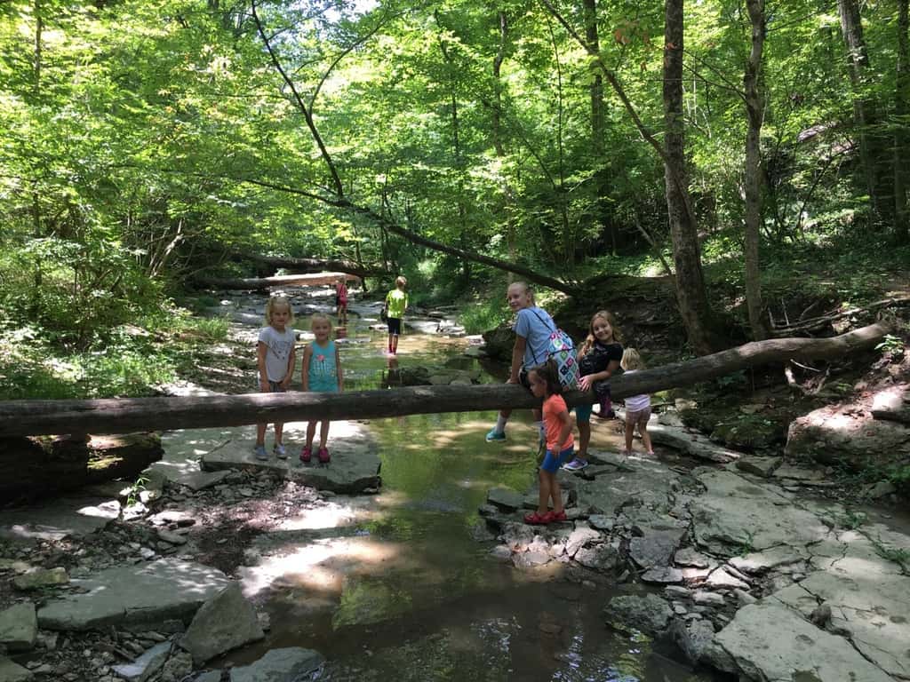 Gwen declared that our hike at French Park today was her “most favorite playgroup ever!”
