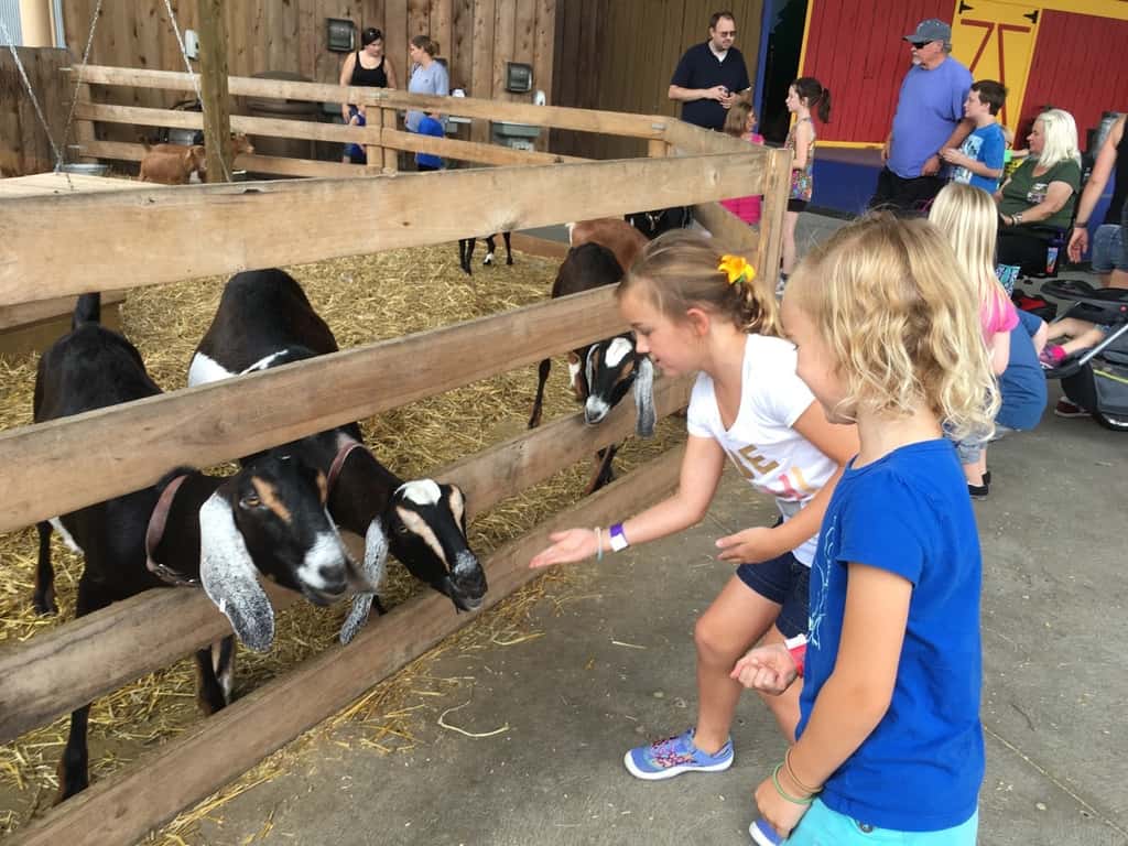 What a fun day (and first time for Gwen and Josie)!