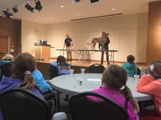 We slept with the manatees!