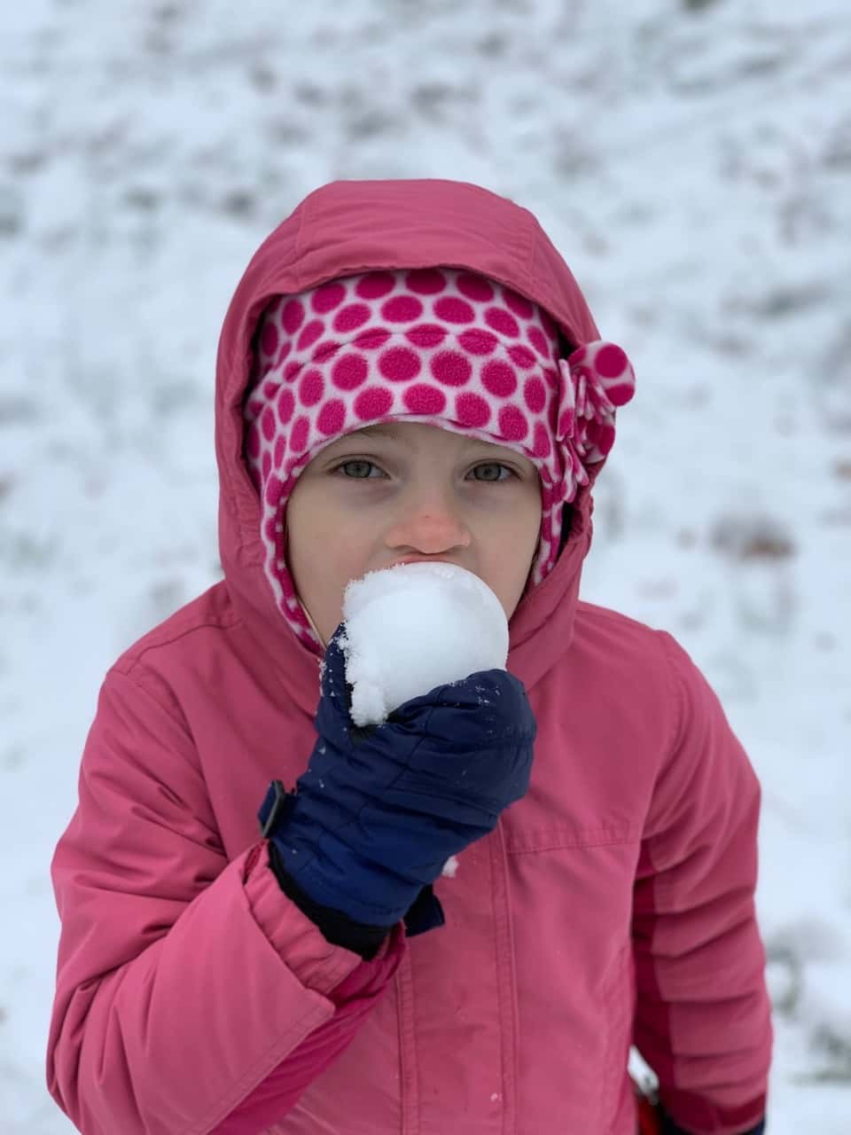 First snow of the year: a fun afternoon!