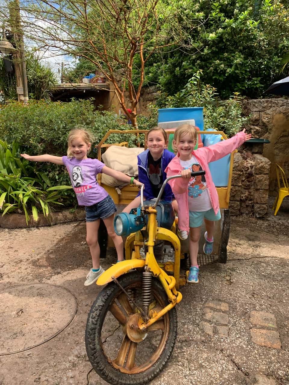 We had a great day at Animal Kingdom! These photos were some highlights from Discovery Island and Africa. We especially loved the African safari and food, the Lion King show, and the Nature Explorerer scavenger hunt!