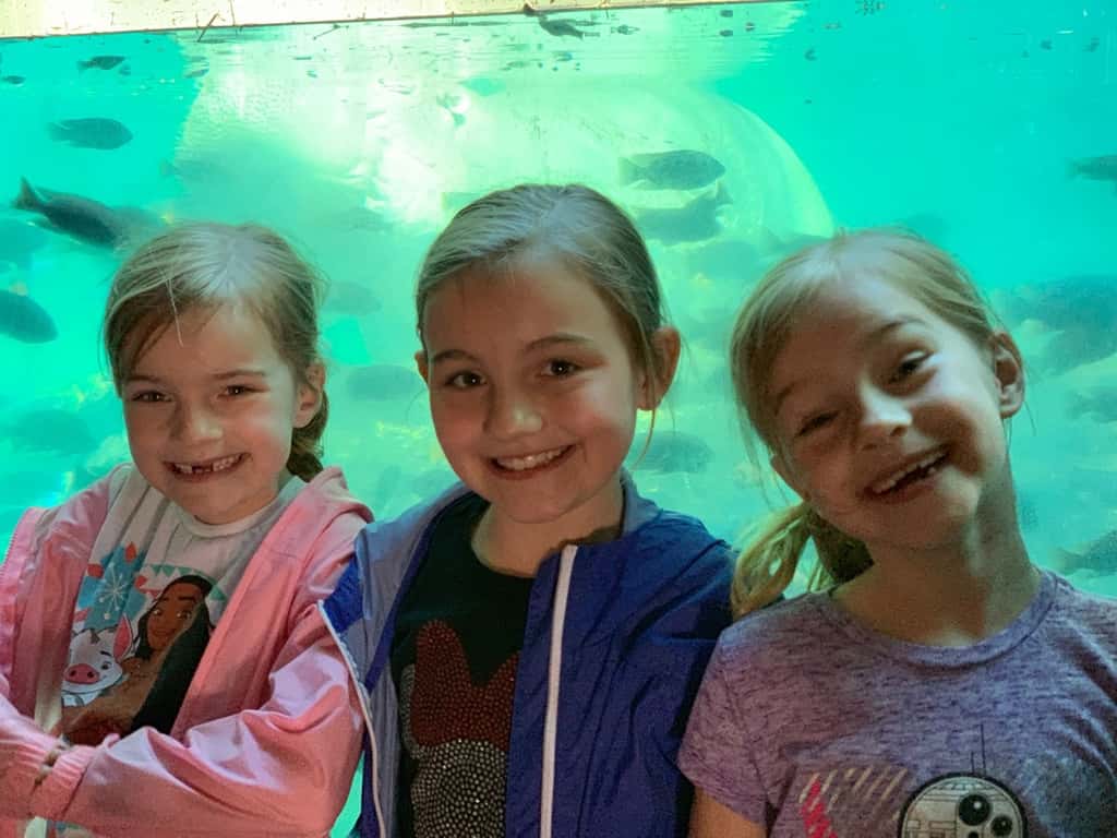 We had a great day at Animal Kingdom! These photos were some highlights from Discovery Island and Africa. We especially loved the African safari and food, the Lion King show, and the Nature Explorerer scavenger hunt!