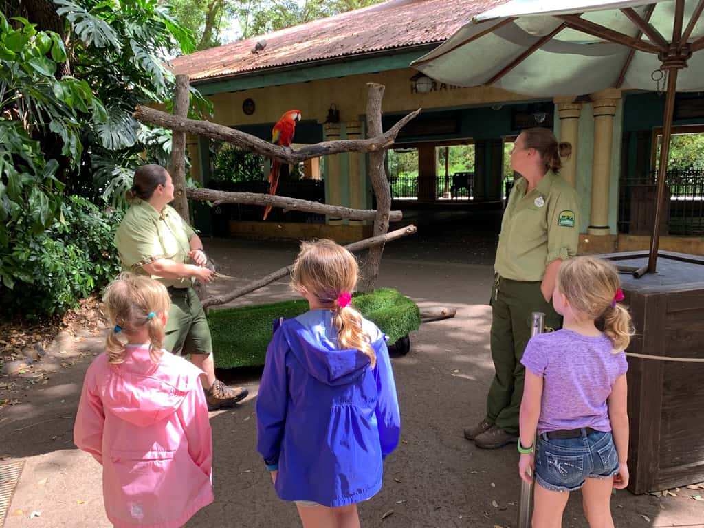 We had a great day at Animal Kingdom! These photos were some highlights from Discovery Island and Africa. We especially loved the African safari and food, the Lion King show, and the Nature Explorerer scavenger hunt!