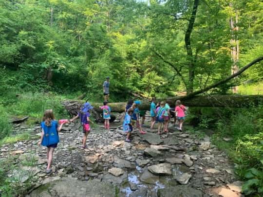 So proud of these intrepid, outdoorsy girls! I’m amazed by how far we hiked and how well everyone did on our first Daisy Girl Scout hike.