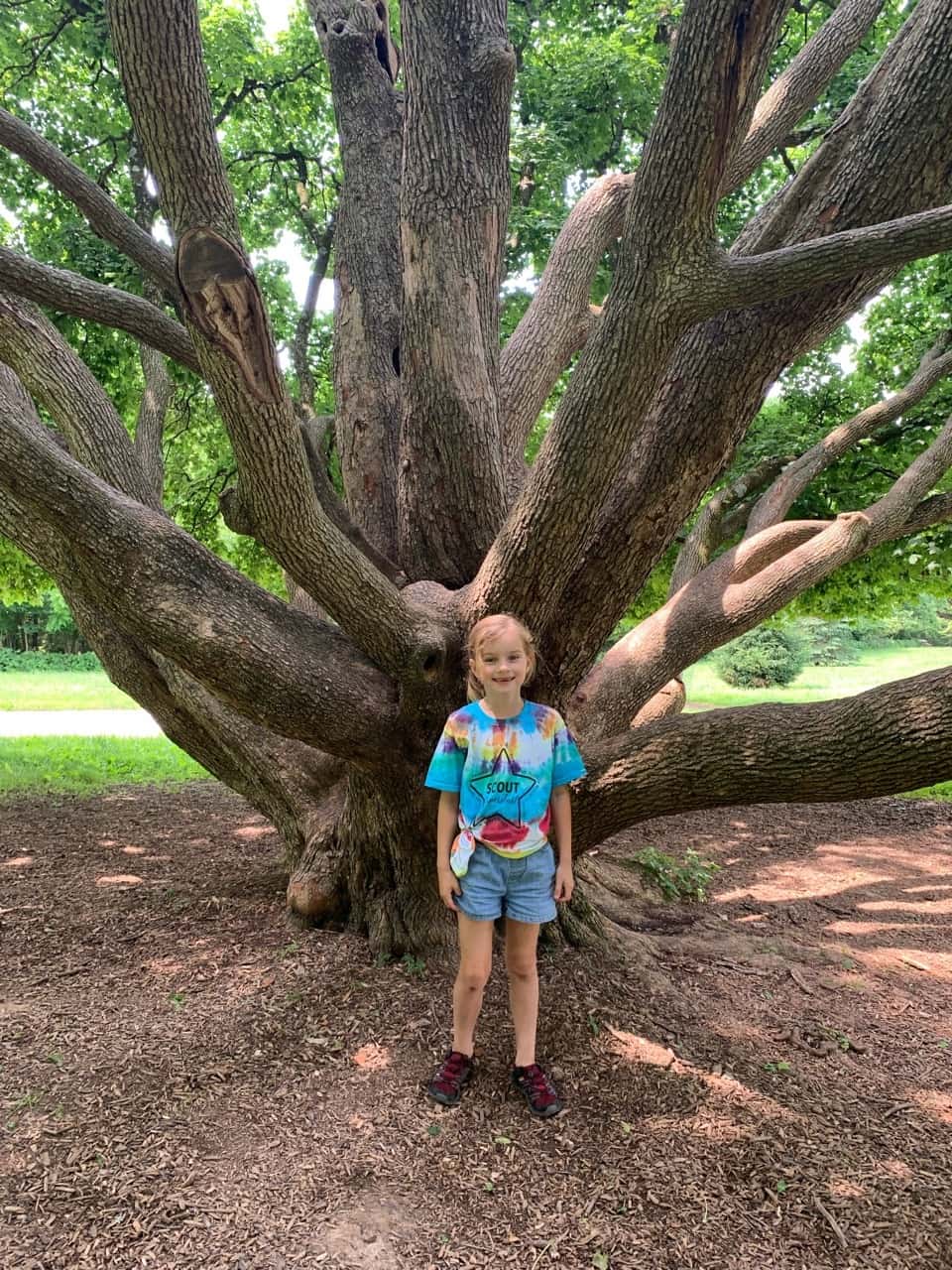 When you find a perfect climbing tree on a beautiful day, you take a few cute girl pictures.