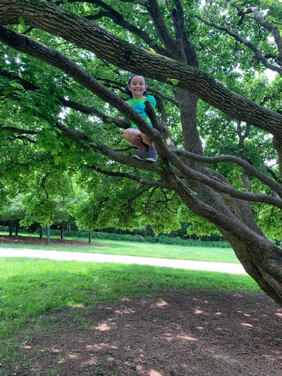 When you find a perfect climbing tree on a beautiful day, you take a few cute girl pictures.