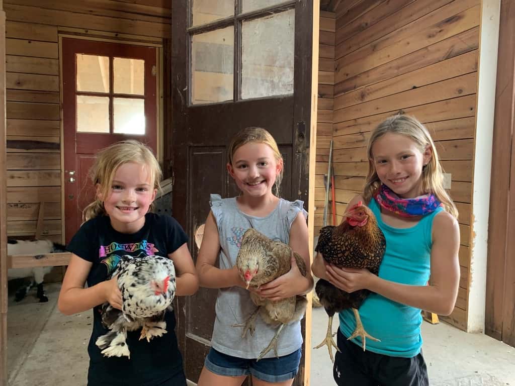 These girls love visiting Stella, Ruby, and their chickens.