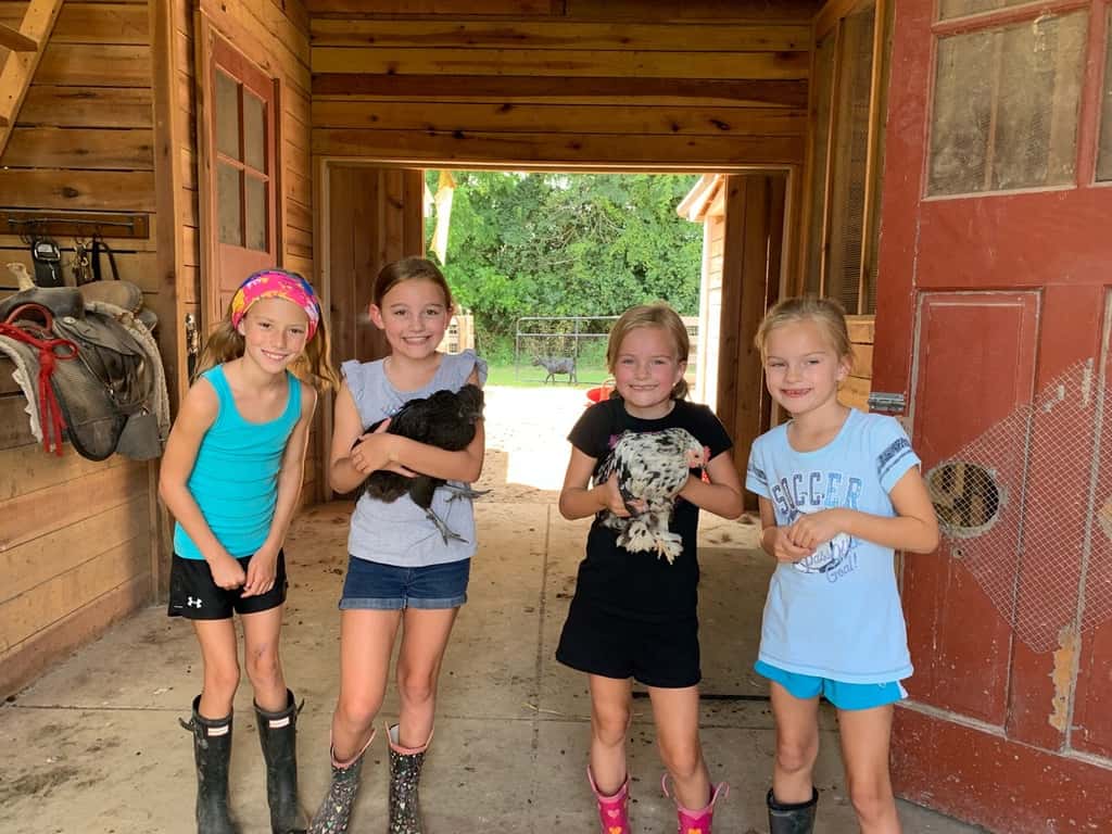These girls love visiting Stella, Ruby, and their chickens.