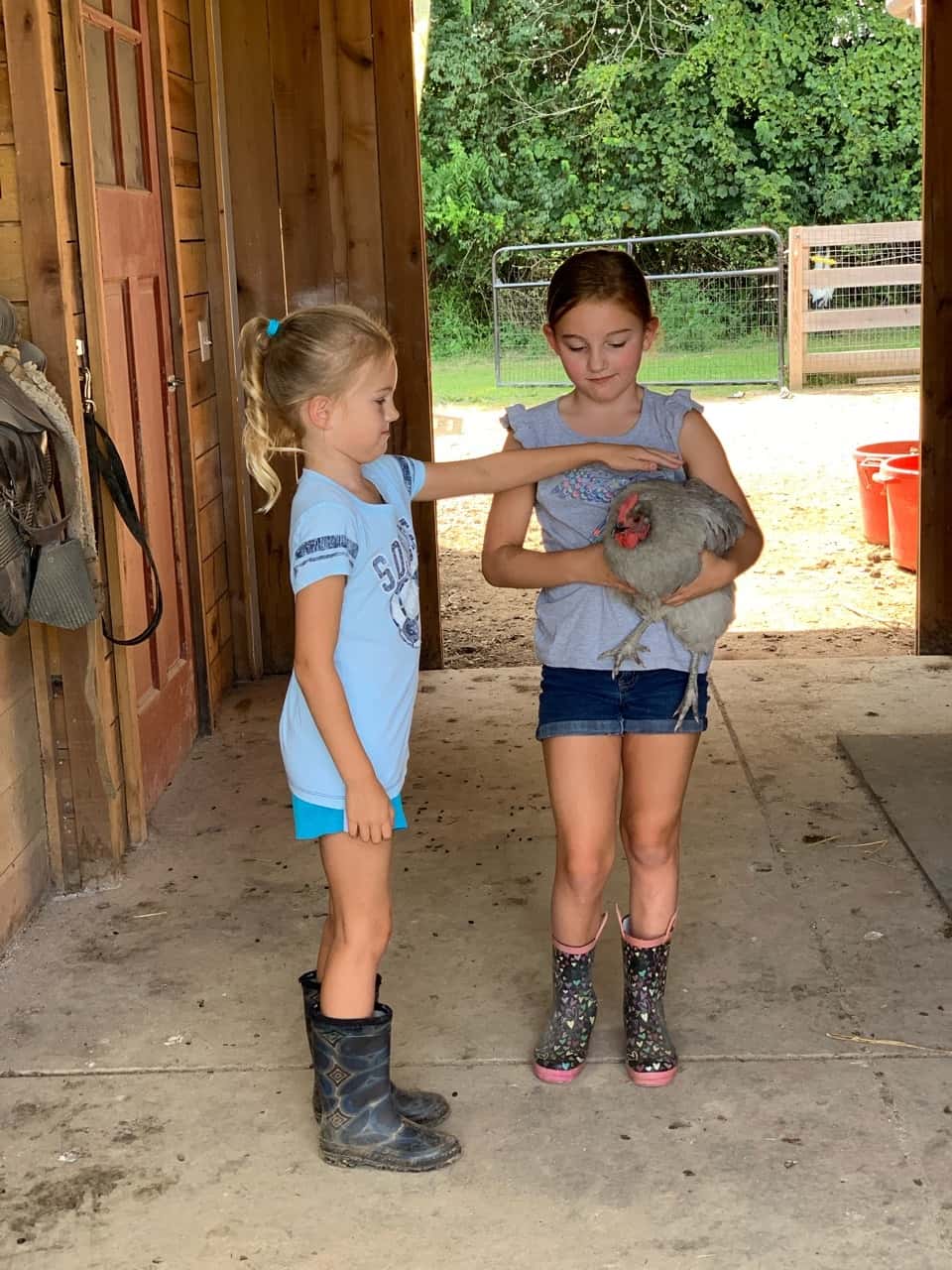 These girls love visiting Stella, Ruby, and their chickens.