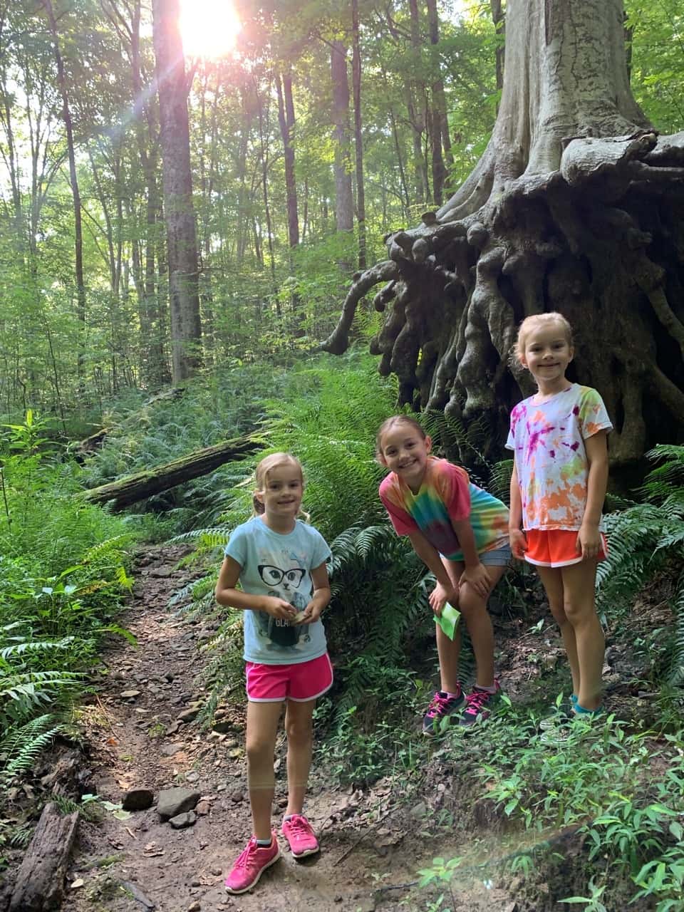 Our quick overnight trip to Mammoth Cave and the Kentucky Horse Park was so much fun! Although Gwen and Josie weren’t quite ready to tour a cave for two hours, Abby and John loved their historic cave tour. (We enjoyed the Sloan’s Pond walk led by a park ranger.) So many great hikes, and they were sworn in as Junior Rangers!