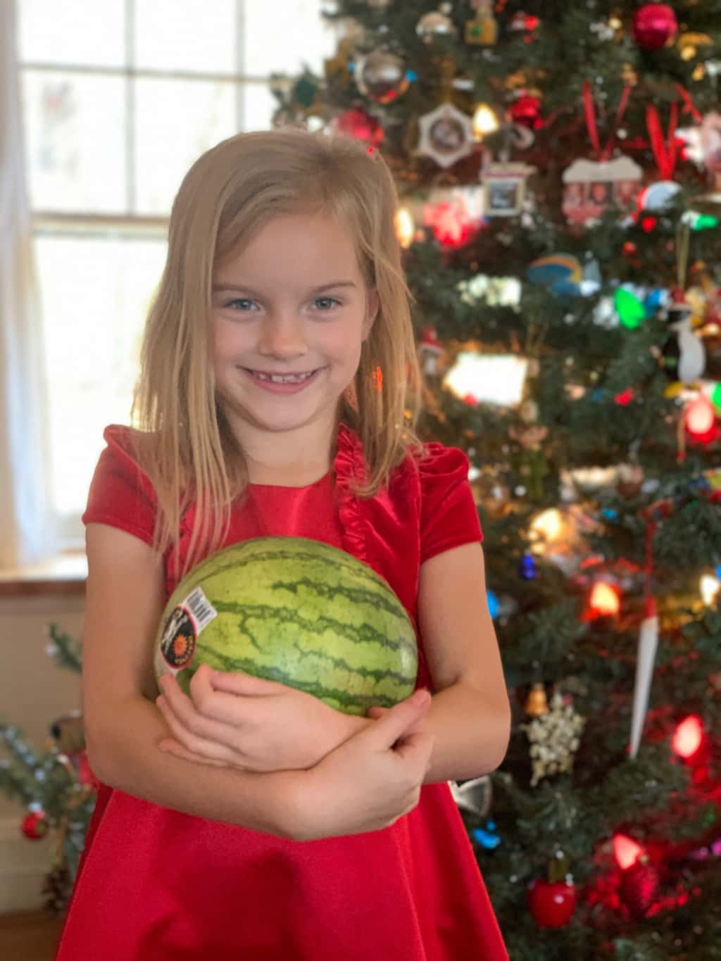 Another pineapple, coconut, and watermelon!