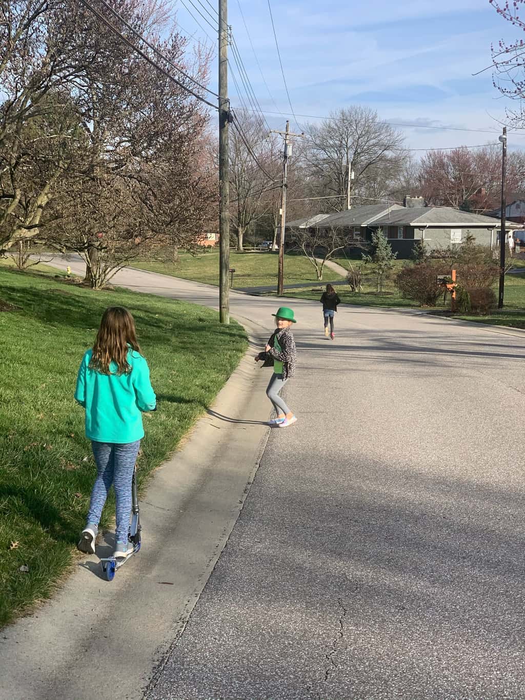 Social distancing day 2: lots of walks and celebrating Saint Patrick’s Day.