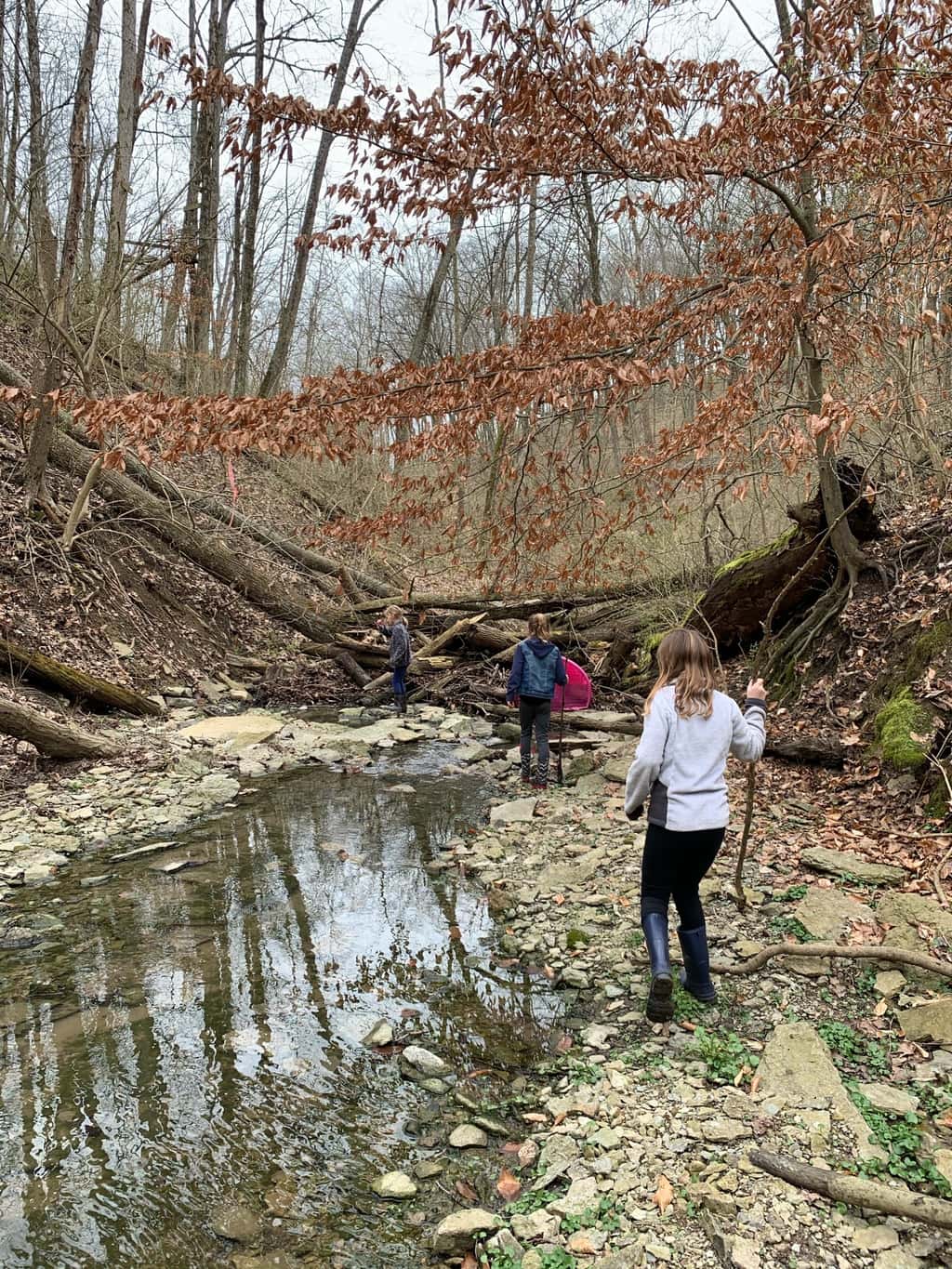 Socially distanced, but not socially isolated. Abby and I got together with some other neighbors to cut fabric for face masks to donate, and joined a group to help some elderly neighbors with yard work this weekend. Today, we explored the KHCC Greenbelt, and the girls loved it! So fun!