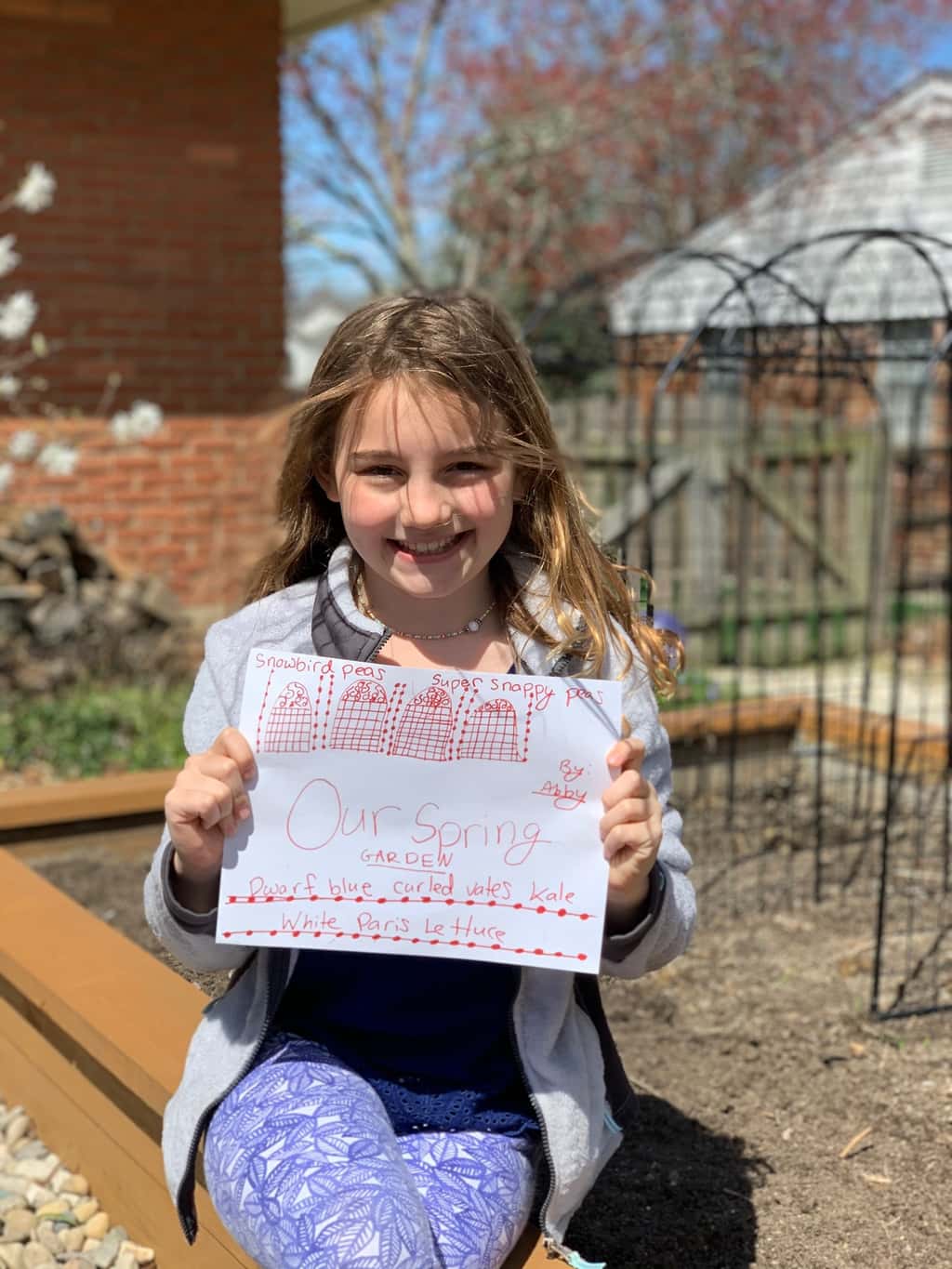 Planted! Snap peas, kale, and lettuce.